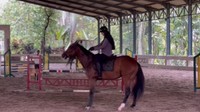 <p>Sudah lama tak berkuda membuat Shireen sempat merasa canggung. Ia mengalami 'drama' ketika kudanya sulit diatur, Bunda. (Foto: Instagram @shireensungkar)</p>