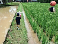 5 Tempat Back to Nature yang Ramah Anak, Murah, Sekitar Jakarta