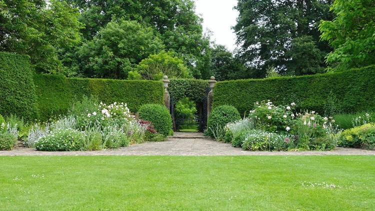 Grass lawn, leafy trees, flowerbeds and topiary hedge in a beautiful landscape garden