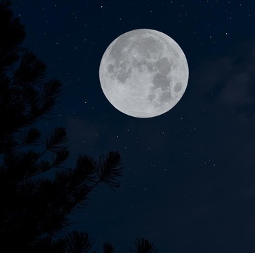 2 Negara Rebutan Tempat di Bulan