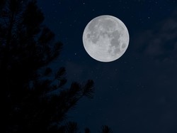 China Akan Bangun Pembangkit Listrik Tenaga Nuklir di Bulan
