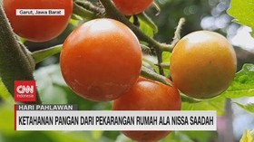 VIDEO: Ketahanan Pangan Dari Pekarangan Rumah Ala Nissa Saadah