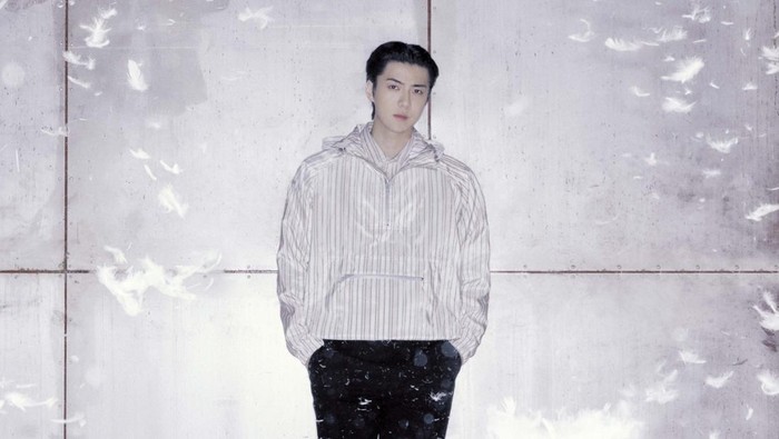 img-title Untuk Kamu yang Ketinggalan, Ini Deretan Hal yang Bikin Fans Sehun EXO 'Geram' di Event Whitelab