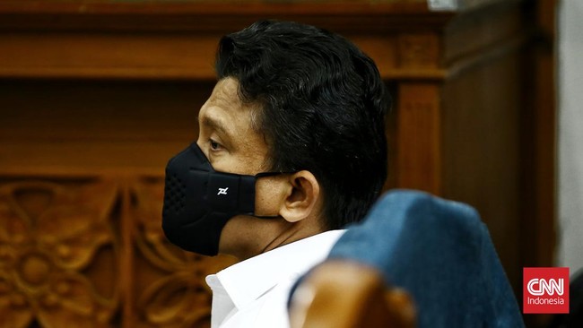 Syarifah Ima Syahab, wanita yang nekat masuk menghampiri terdakwa Ferdy Sambo saat sidang di Pengadilan Negeri (PN) Jakarta Selatan meminta maaf.