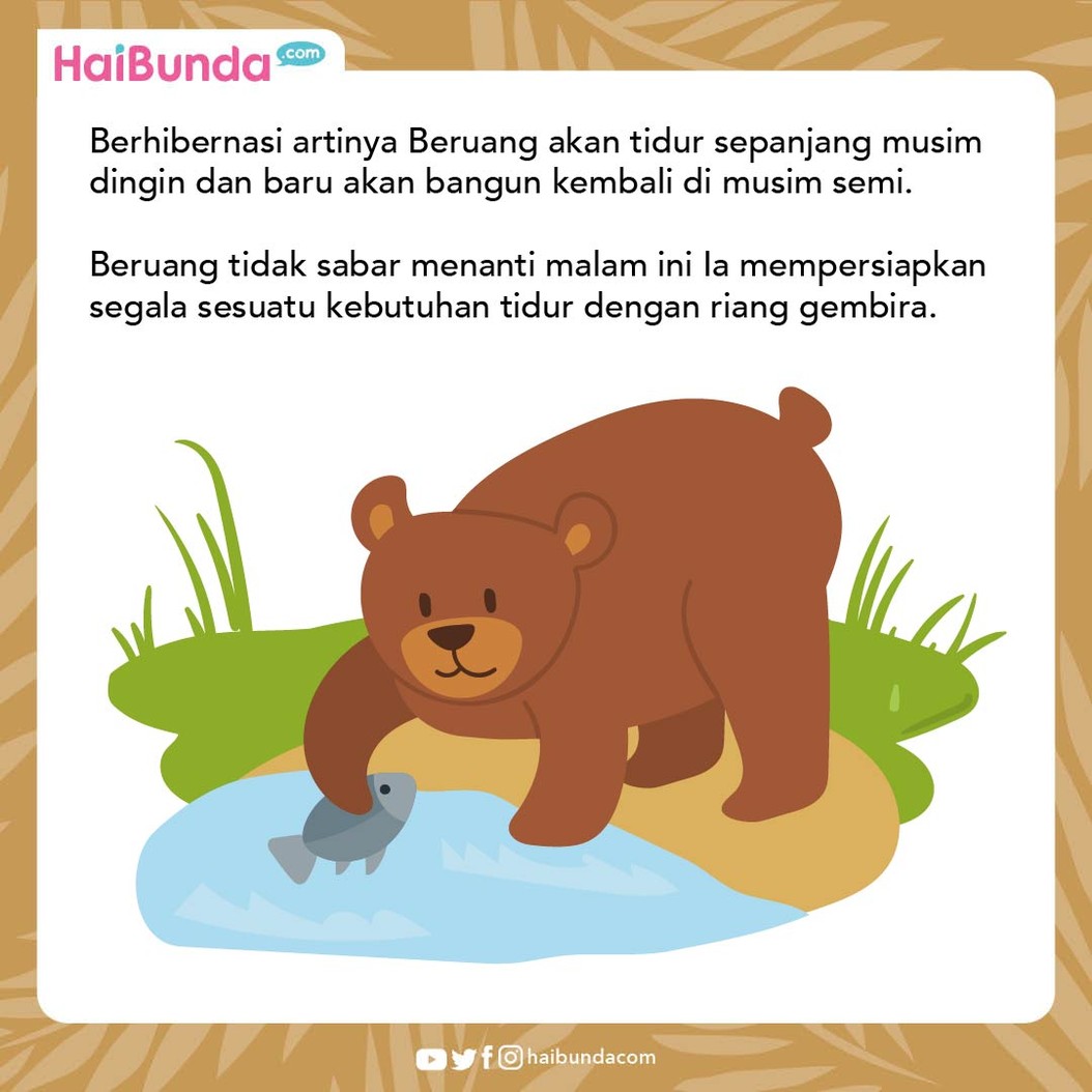 Cerita Fabel Beruang Tidak Suka Diganggu