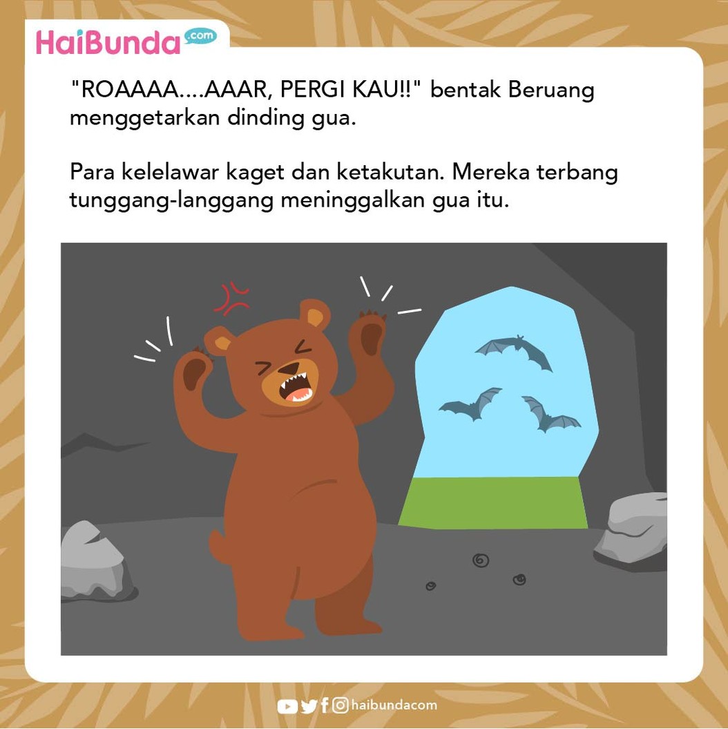 Cerita Fabel Beruang Tidak Suka Diganggu
