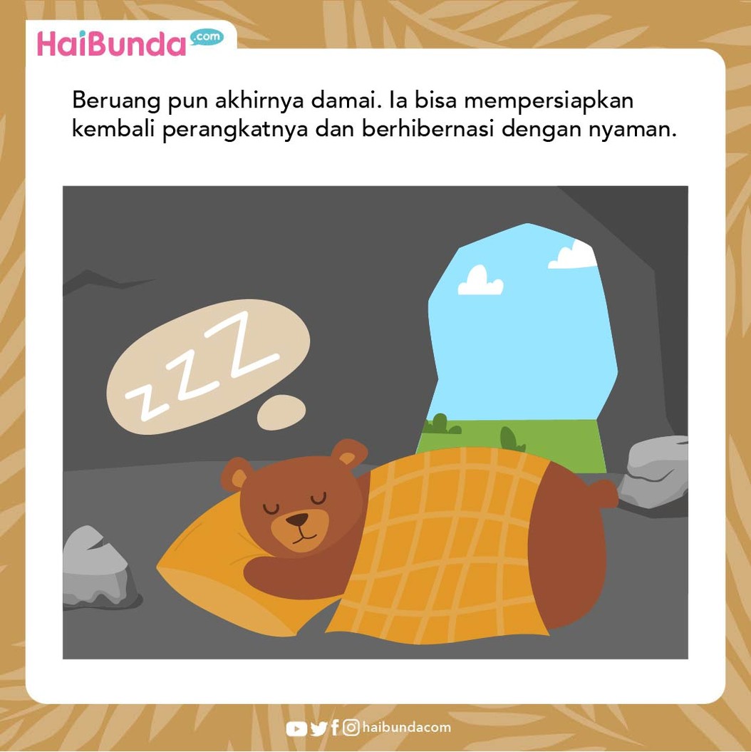 Cerita Fabel Beruang Tidak Suka Diganggu