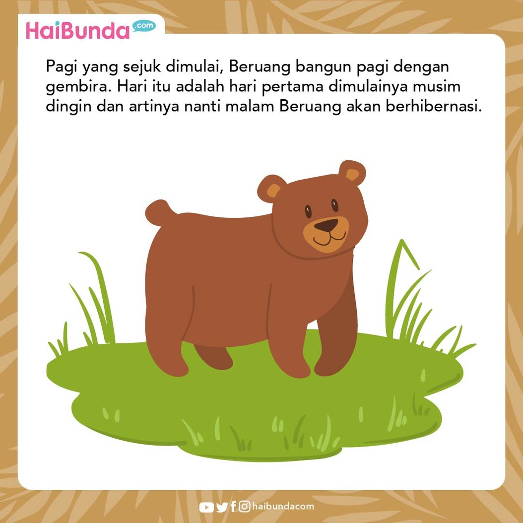 Cerita Fabel Beruang Tidak Suka Diganggu