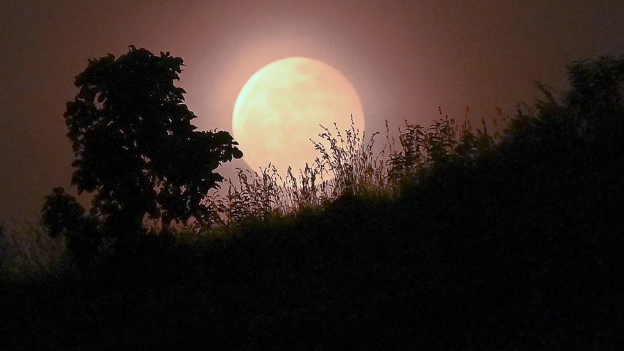 Fenomena gerhana bulan total terjadi di berbagai negara di dunia. Keindahannya sanggup membuat siapa pun terkagum-kagum.