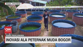 VIDEO: Inovasi Ala Peternak Muda Bogor
