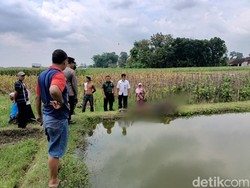 Pencari Rumput di Kota Blitar Ditemukan Tewas Tercebur Kolam Ikan
