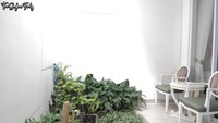<p>Terdapat taman kecil di belakang rumah Natasha Wilona. Ruang terbuka ini juga digunakan untuk tamu-tamunya bercengkrama. (Foto: YouTube/The Sungkars Family)</p>