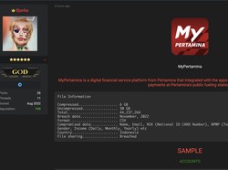 Bjorka Beraksi Lagi, Kali Ini Bocorkan Data Diduga MyPertamina