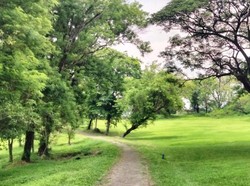 Misteri Makam Mbah Deler dan Lapangan Golf Tertua di Surabaya