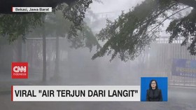 VIDEO: Viral 