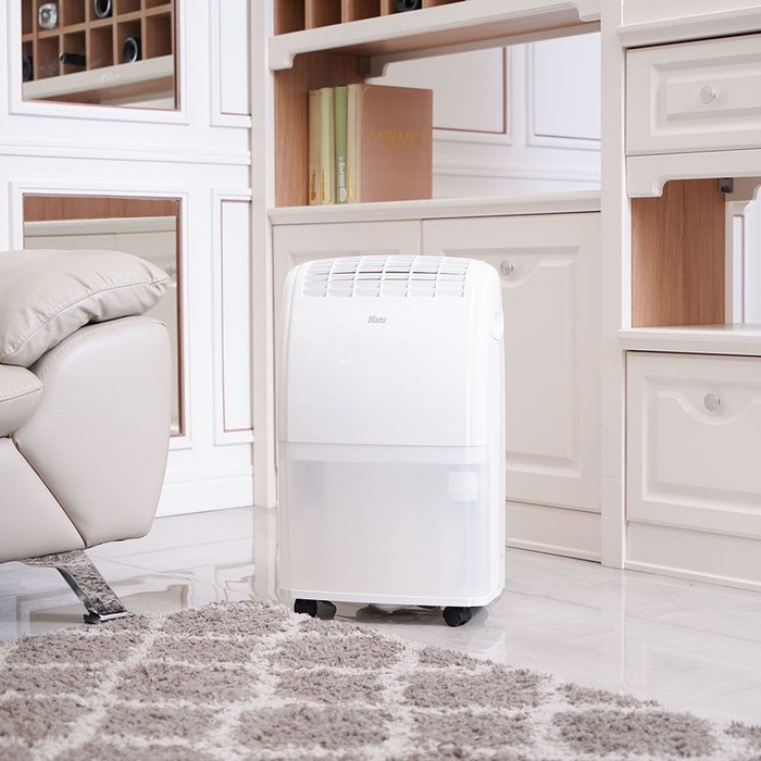 Dehumidifier