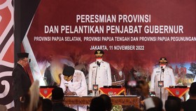 Profil 3 Provinsi Baru: Papua Selatan, Papua Tengah, Papua Pegunungan