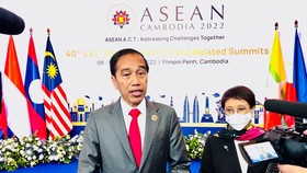 Jokowi Bakal Kirim Jenderal ke Myanmar Bantu Transisi Demokrasi
