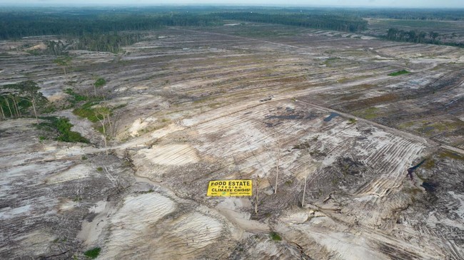 Calon wakil Presiden Muhaimin Iskandar, Mahfud MD menyebut food estate sebagai proyek lumbung pangan gagal pemerintahan Jokowi.