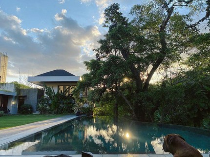 7 Potret Rumah Minimalis Nana Mirdad dan Andrew White, Kolam & Halamannya Luas Bun