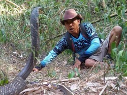 Blak-blakan Steve Ewon sang Penghipnotis Hewan soal Ular Langka