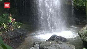 VIDEO: Kambing Hutan Ini Bukan Hewan Liar Lho, Tapi Nama Air Terjun