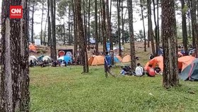 VIDEO: Yuk Camping Murah di Tengah Rimbunnya Hutan Pinus