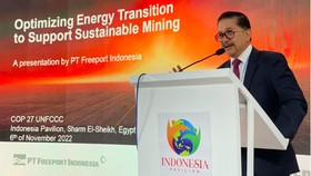 Langkah Freeport Dukung Pemerintah Capai Target NDC