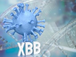 Kasus COVID-19 Subvarian XBB Ditemukan di Batam
