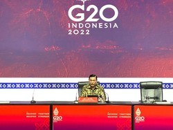 Luhut Ungkap Alasan 3 Presiden Absen di KTT G20, Termasuk Putin