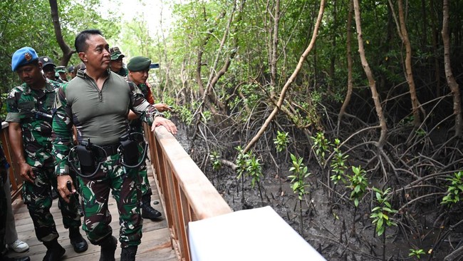Merujuk Pasal 13 UU TNI, DPR harus menyetujui usulan nama pengganti Andika 20 hari sebelum masa reses anggota dewan yakni 16 Desember.