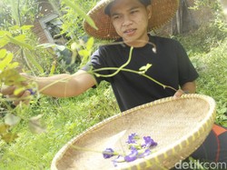 Ath-Thaariq, Pesantren Ekologi dari Garut yang Dilirik PBB