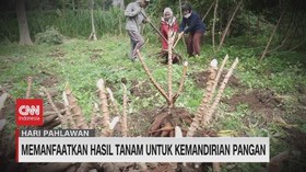 VIDEO: Memanfaatkan Hasil Tanam Untuk Kemandirian Pangan