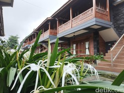 Hotel Joglo Kecombrang Bromo Suguhkan Nuansa Tradisional dan View Menawan