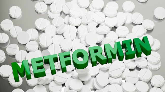 Discover the benefits of metformin, the “wonder drug” that can make you live longer