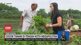VIDEO: Cocok Tanam di Tengah Hutan Beton, di Tengah Kota Megapolitan