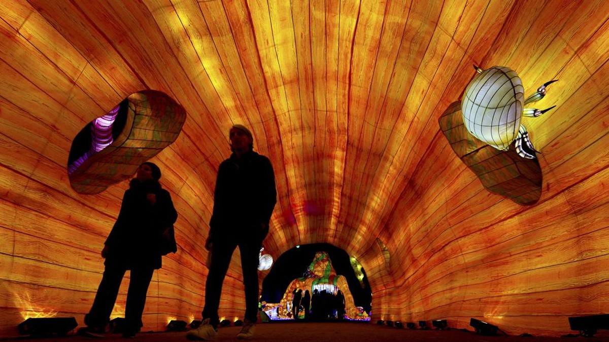 FOTO: Instalasi Hewan Besar Terangi Festival Cahaya di Paris
