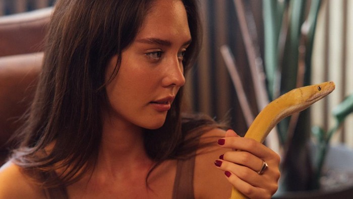 Mimpi Bertemu Ular, Ada Pertanda Baik atau Buruk?/Foto: pexels.com/KoolShooters