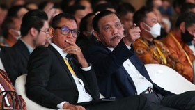 Luhut Dukung PLN Kembangkan EBT: Siap Sambut Investasi US$ 700 Miliar