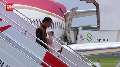 img-title Jokowi Jajakan 30 Ribu Ha Lahan Kalimantan ke Investor Asing untuk EBT