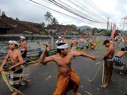 Tradisi Metigtig: Perang Pelepah Pisang di Desa Bebandem Karangasem