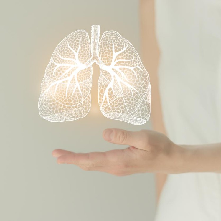 Ilustrasi paru-paru atau bronkitis