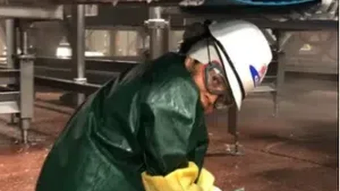 Pekerja Anak di Pabrik Pengepakan Daging di AS