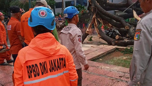 BPBD DKI mengimbau masyarakat untuk siap siaga menghadapi kondisi cuaca ekstrem, dalam mengantisipasi bencana hidrometeorologi.