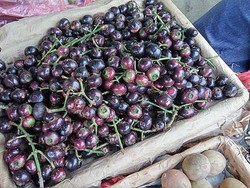 7 Manfaat Buah Gowok Bagi Kesehatan, Langka, dan Bernutrisi!