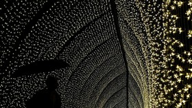 FOTO: Gemerlap Satu Juta Lampu Hiasi Royal Botanic Gardens London
