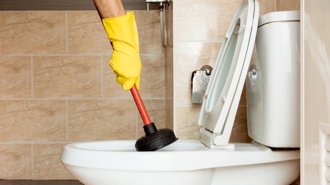 DPD RI menjelaskan rencana penggunaan anggaran Rp14,4 miliar untuk renovasi ruang kerja anggota dan Rp4,8 miliar untuk renovasi toilet.