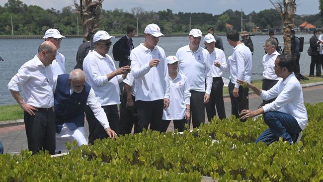 Tahura Ngurah Rai merupakan satu-satunya Taman Hutan Rakyat payau di Bali, yang dipilih Presiden Jokowi untuk mengajak delegasi G20 untuk berkunjung. 