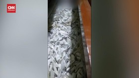 VIDEO: Viral Pria Mati Suri, RS Diagnosa Urip Kekurangan Oksigen Otak