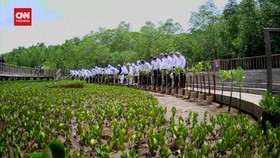 VIDEO: Pemimpin Dunia Antusias Tanam Pohon Bakau di KTT G20 Bali